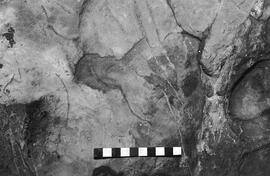 NMSA 03 5067P