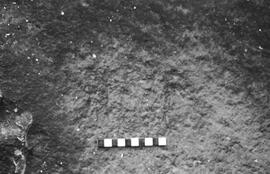 NMSA 03 1729P