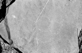 NMSA 03 7520P