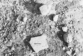 NMSA 03 718P