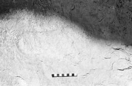NMSA 03 2012P