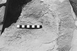 NMSA 03 2649P