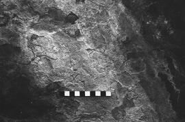 NMSA 03 2694P