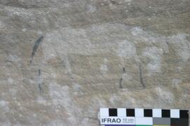 NMSA RSA MPO1 47D