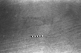 NMSA 03 1595P