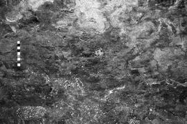 NMSA 03 4569P