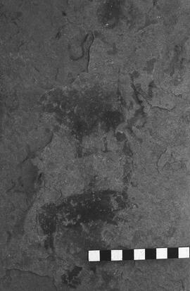 NMSA 03 2397P