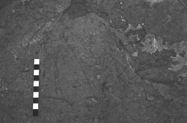 NMSA 03 2568P
