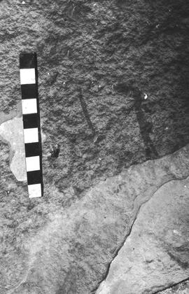 NMSA 03 4502P