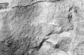 NMSA 03 409P