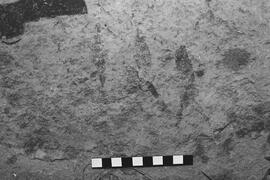 NMSA 03 5389P