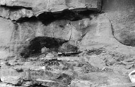 NMSA 03 7111N