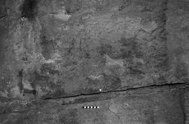 NMSA 03 4446P