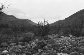 NMSA 03 6518P