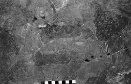 NMSA 03 6106P