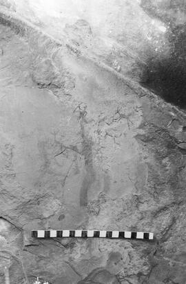 NMSA 03 1123P