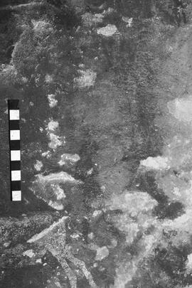 NMSA 03 4335P