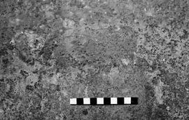 NMSA 03 4209P