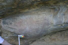 NMSA RSA DEW1 11D