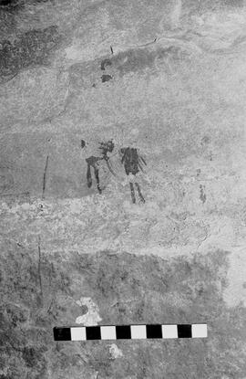 NMSA 03 6134P