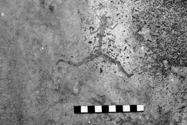 NMSA 03 4224P