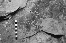NMSA 03 4607P