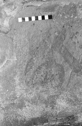 NMSA 03 1351P