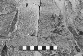 NMSA 03 2636P