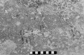 NMSA 03 4810P