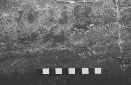 NMSA 03 5275P