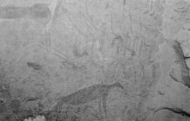 NMSA 03 8378P