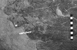 NMSA 03 5768P