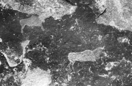 NMSA 03 8893P