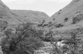 NMSA 03 4665P