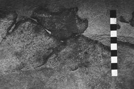 NMSA 03 4614P