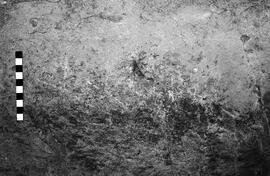 NMSA 03 4470P