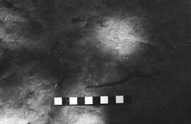 NMSA 03 2584P