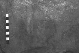 NMSA 03 6362P