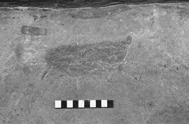 NMSA 03 1423P
