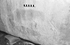 NMSA 03 1469P