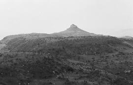 NMSA 03 1877P