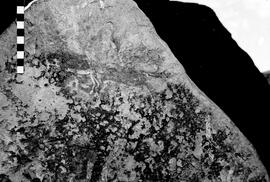 NMSA 03 3211P