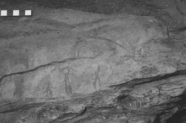 NMSA 03 7316P