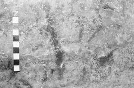 NMSA 03 1982P