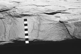 NMSA 03 1217P