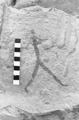 NMSA 03 1030P