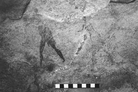 NMSA 03 5248P