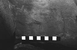 NMSA 03 4471P