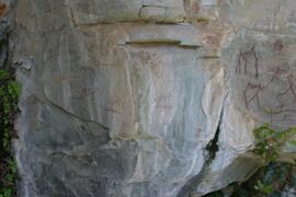 NMSA RSA BAT1 228D