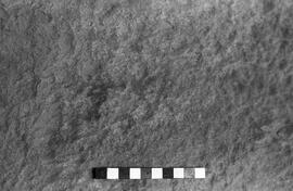 NMSA 03 2968P